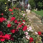 яна * Sveti Vlas
