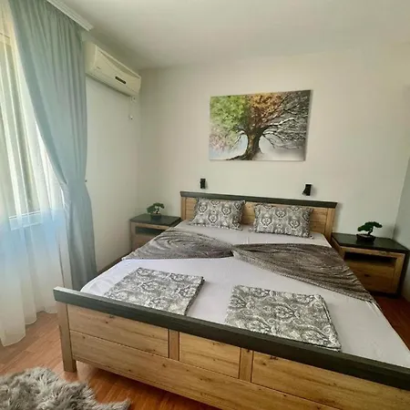 дани и мони Daire *