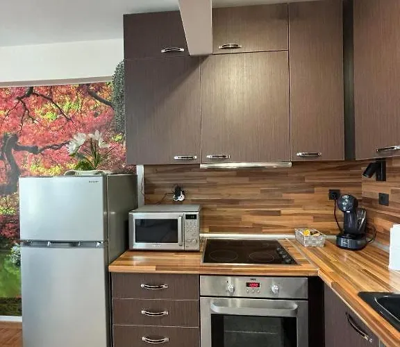 дани и мони Свети Влас