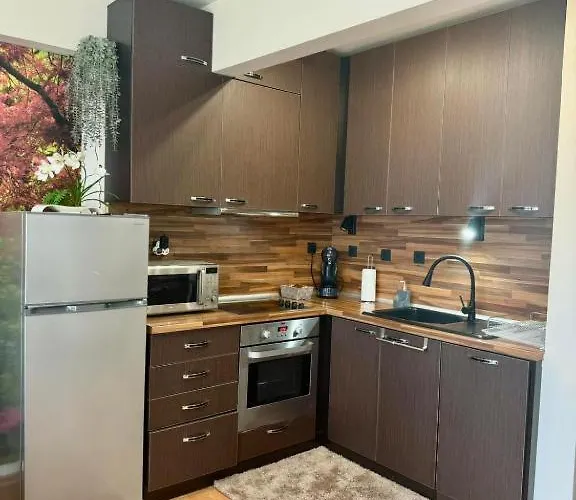 дани и мони * Свети Влас