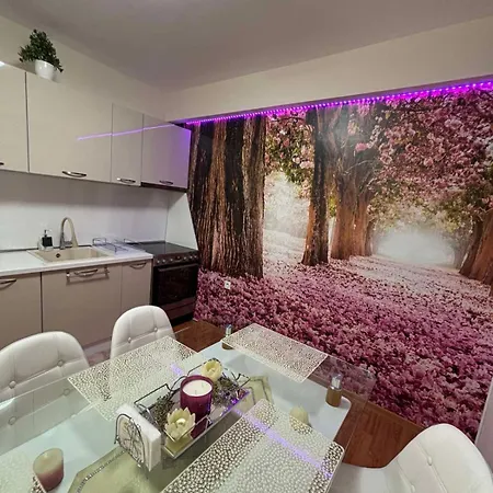 дани и мони * Szveti Vlasz